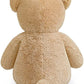 SNOWOLF   Teddy Bear with Ribbon Tie  Light Brown