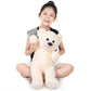 SNOWOLF   Teddy Bear with Ribbon Tie White