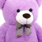 SNOWOLF 1.2m Giant Teddy Bear with Checkered Tie Purple